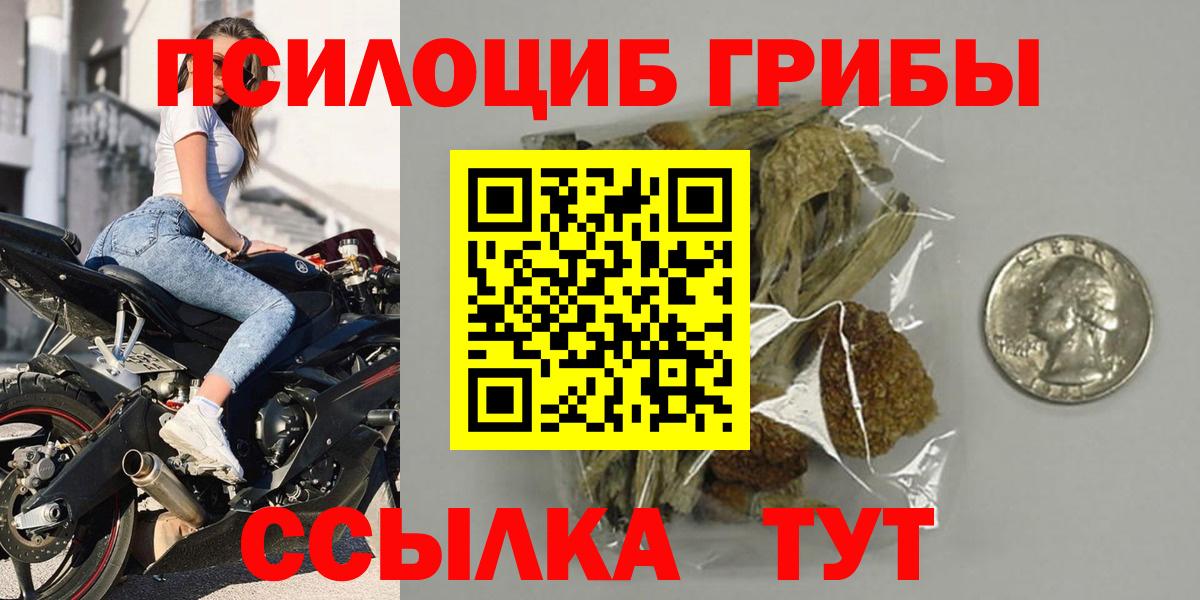 Псилоцибиновые грибы мицелий Омск