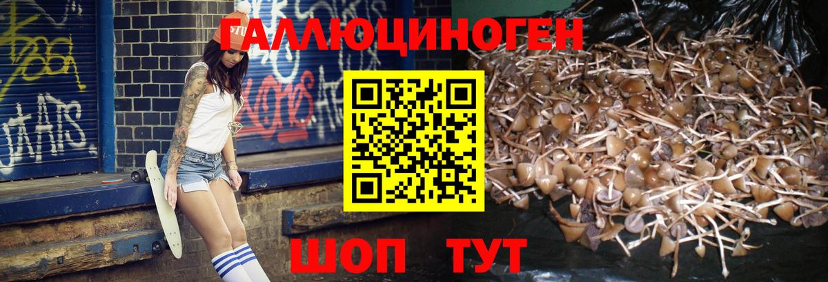 Псилоцибиновые грибы прущие грибы  Вход с VPN  Псилоцибиновые грибы Magic Shrooms  Омск 
